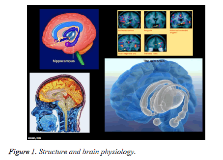 public-health-brain-physiology