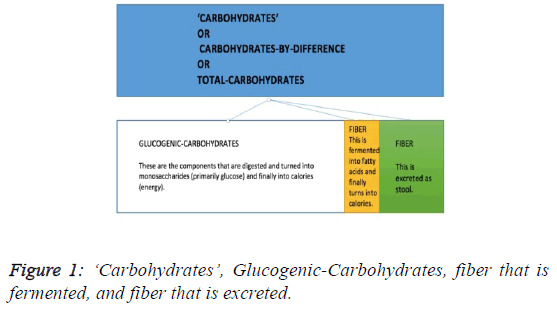 public-health-nutrition-Glucogenic-Carbohydrates