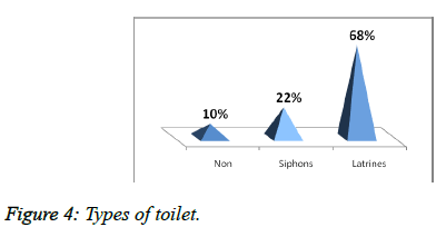 public-health-nutrition-Types-toilet