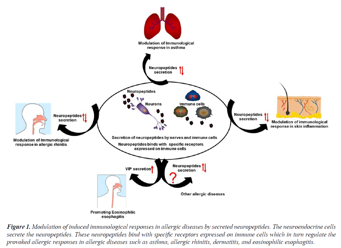 pulmonology-clinical-research-immunological-allergic-diseases