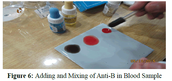 pure-applied-zoology-Adding-Mixing