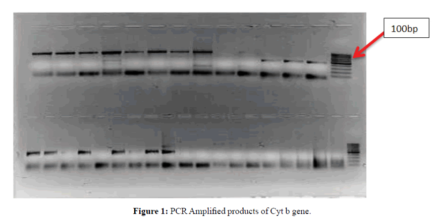 pure-applied-zoology-Amplified