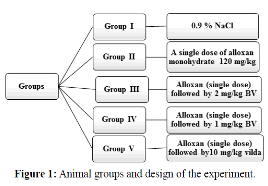 pure-applied-zoology-Animal-groups