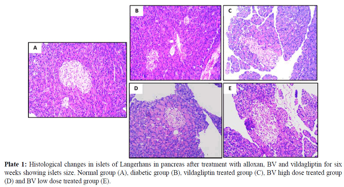 pure-applied-zoology-Histological