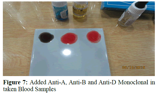 pure-applied-zoology-Monoclonal-Mixing