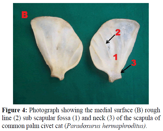 pure-applied-zoology-Photograph