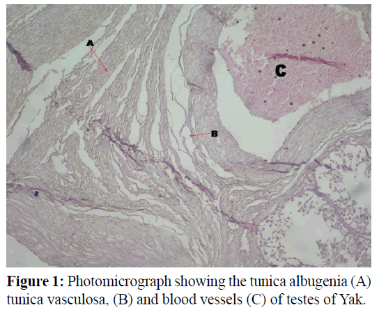 pure-applied-zoology-Photomicrograph