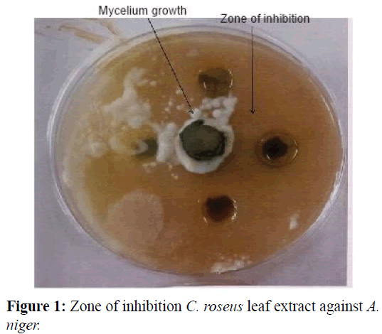 pure-applied-zoology-Zone-inhibition