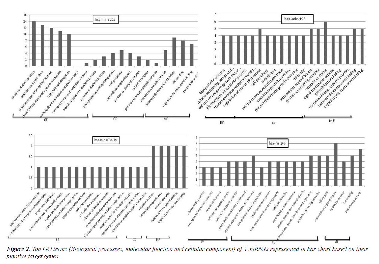 research-reports-genetics-biological-processes