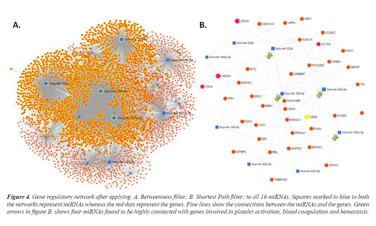 research-reports-genetics-gene-regulatory