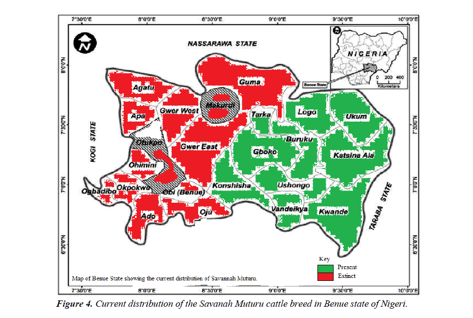 research-reports-genetics-savanah-muturu-cattle