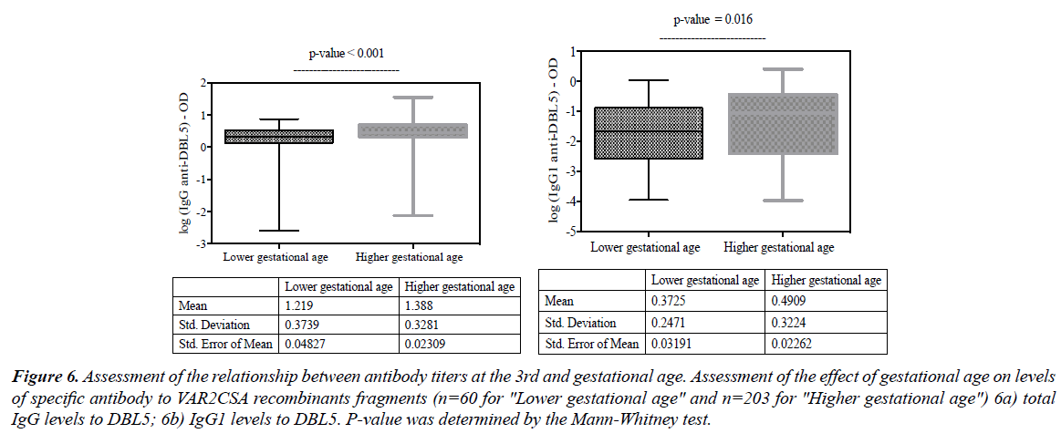 research-reports-immunology-gestational-age