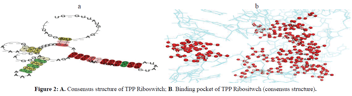 rnai-and-gene-silencing-Consensus-structure