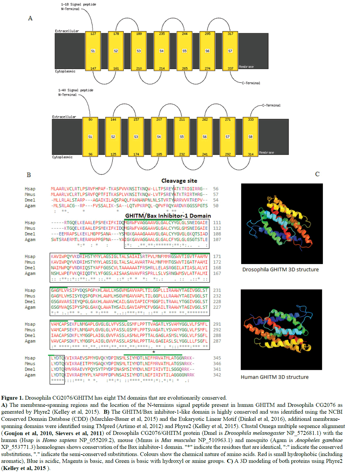 rnai-and-gene-silencing-Drosophila