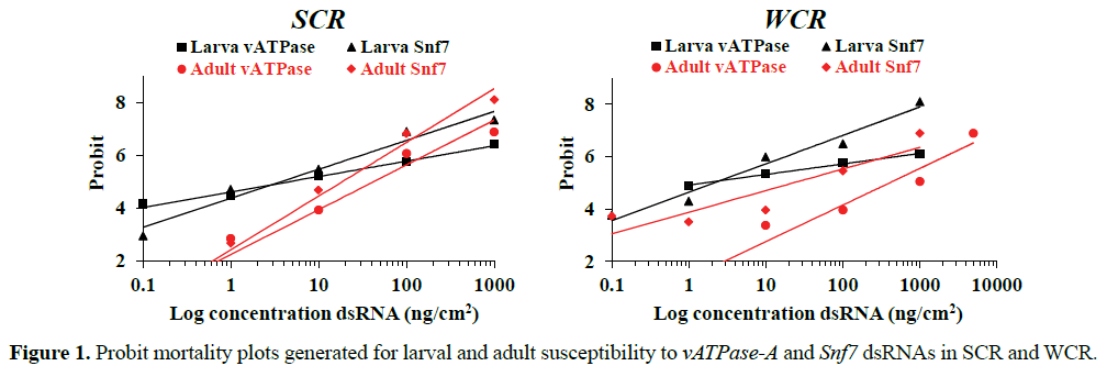 rnai-and-gene-silencing-Probit-mortality-plots