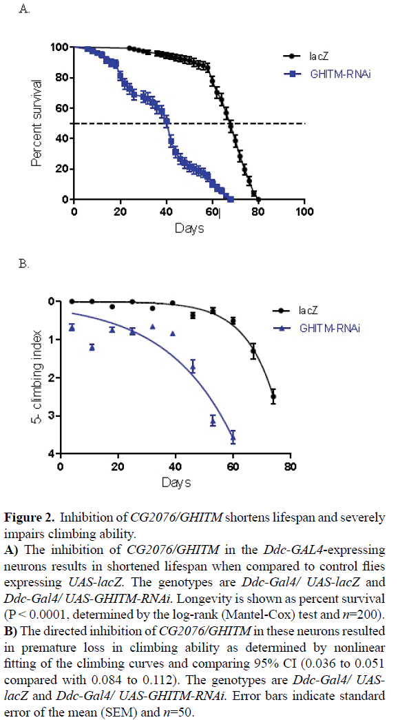 rnai-and-gene-silencing-impairs-climbing-ability