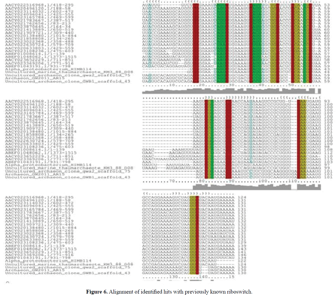 rnai-and-gene-silencing-known-riboswitch