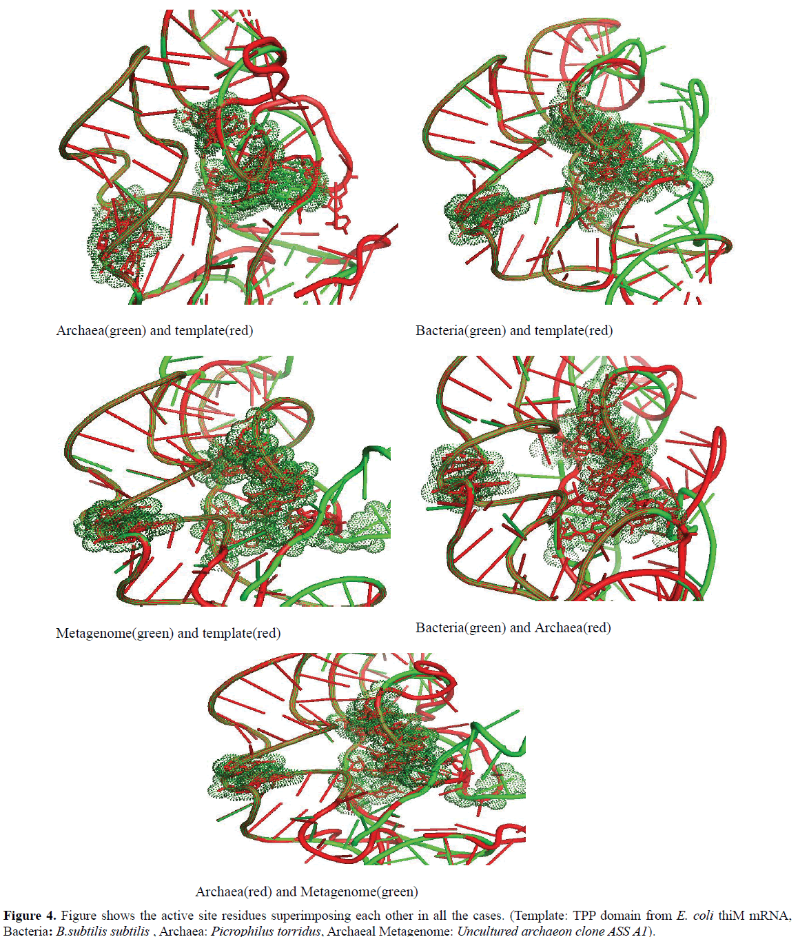 rnai-and-gene-silencing-residues-superimposing