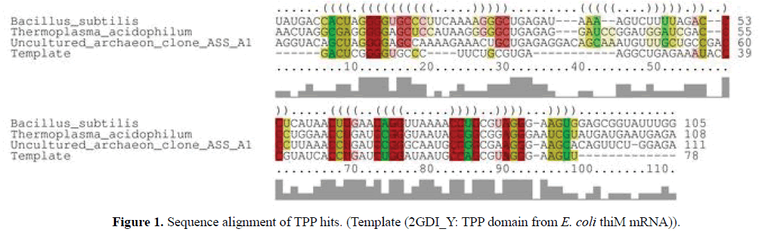 rnai-and-gene-silencing-sequence-alignment