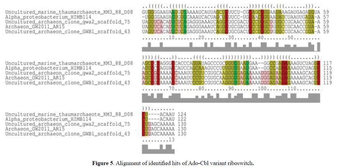 rnai-and-gene-silencing-variant-riboswitch