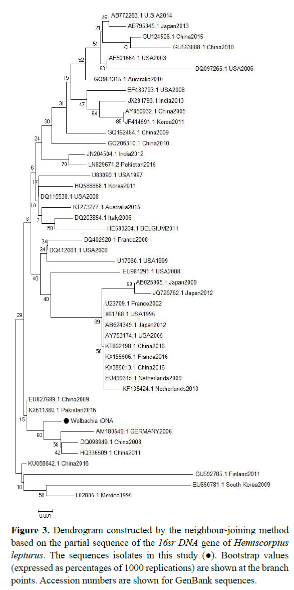 rnai-gene-silencing-Dendrogram-constructed