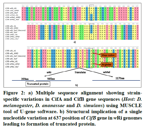 rnai-gene-silencing-alignment-showing