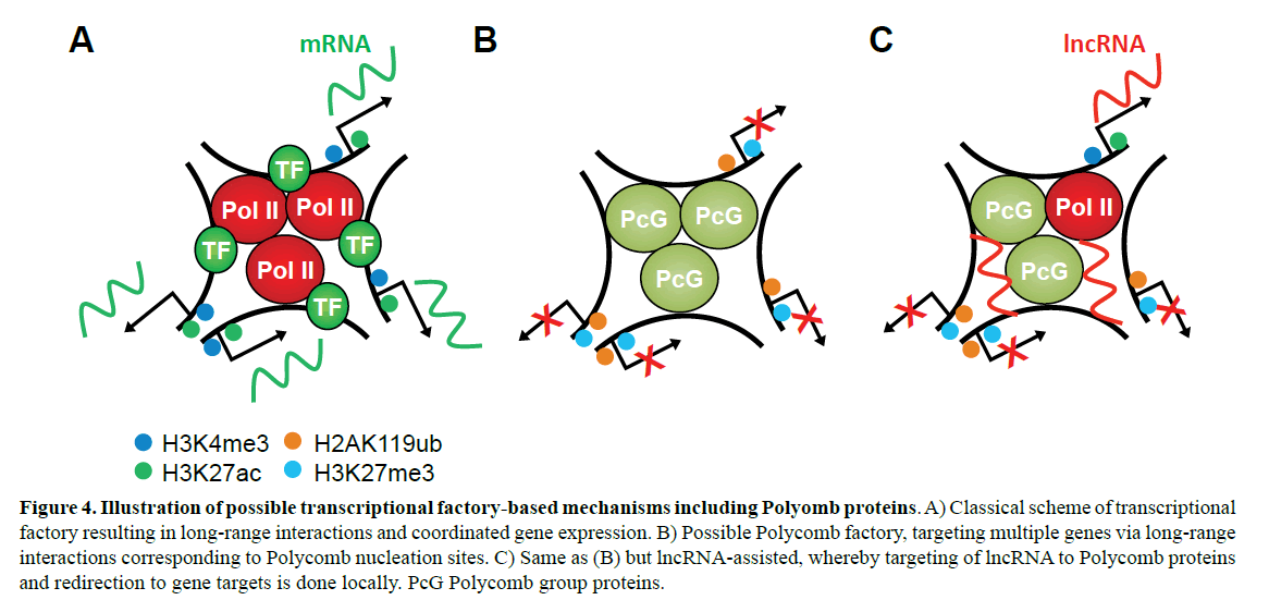 rnai-gene-silencing-factory-based