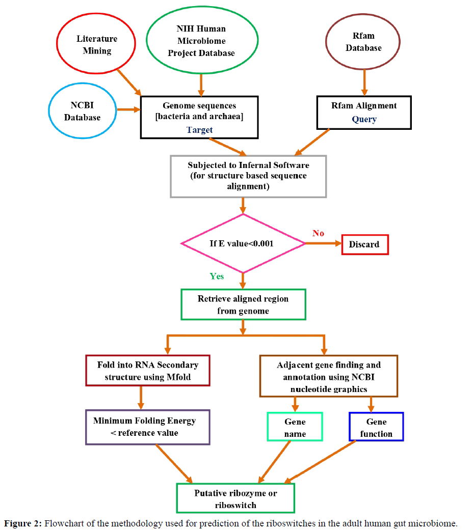 rnai-gene-silencing-flowchart