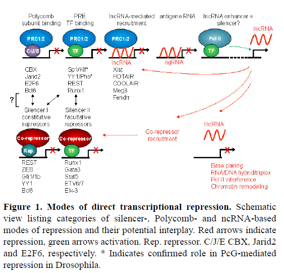 rnai-gene-silencing-listing-categories