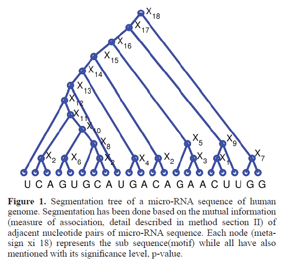 rnai-gene-silencing-micro-RNA-sequence