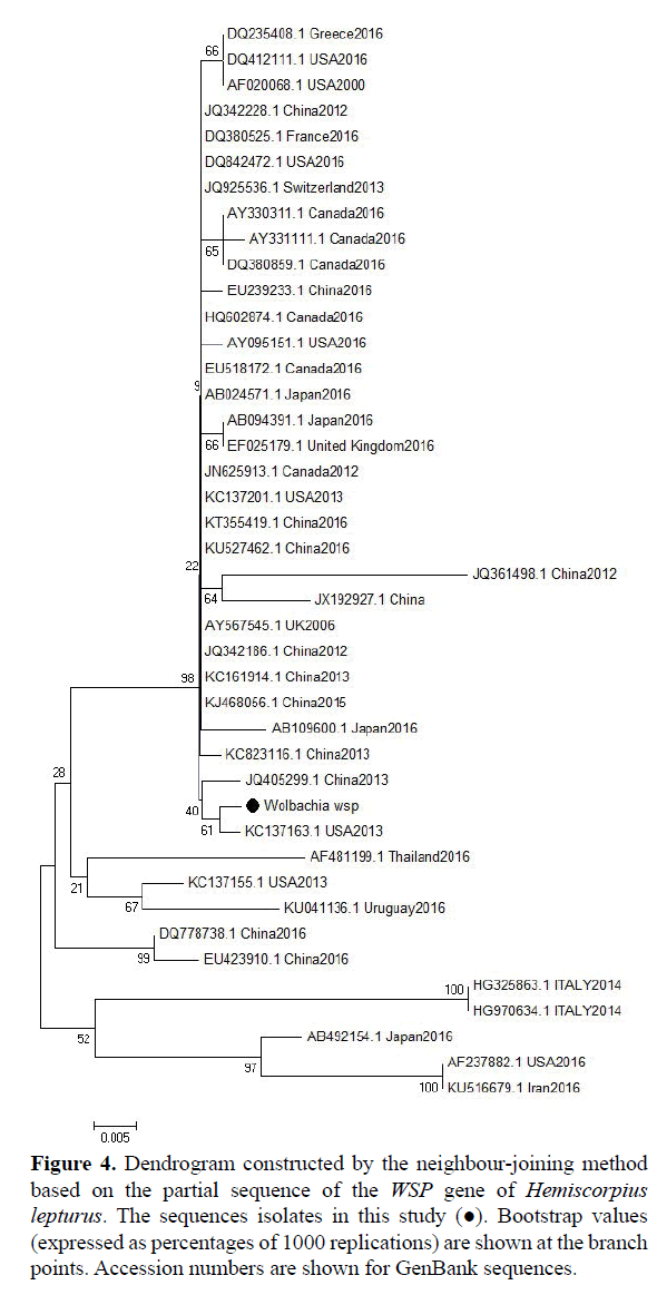 rnai-gene-silencing-partial-sequence