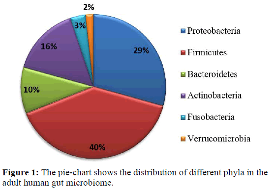 rnai-gene-silencing-pie-chart