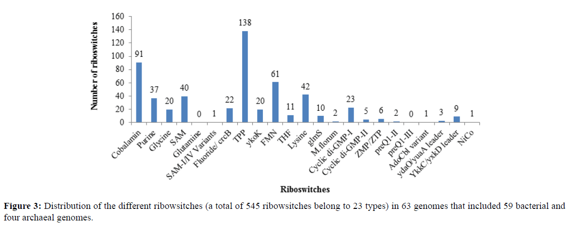 rnai-gene-silencing-ribowsitches