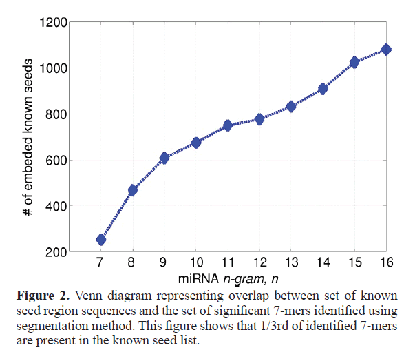 rnai-gene-silencing-seed-region-sequences