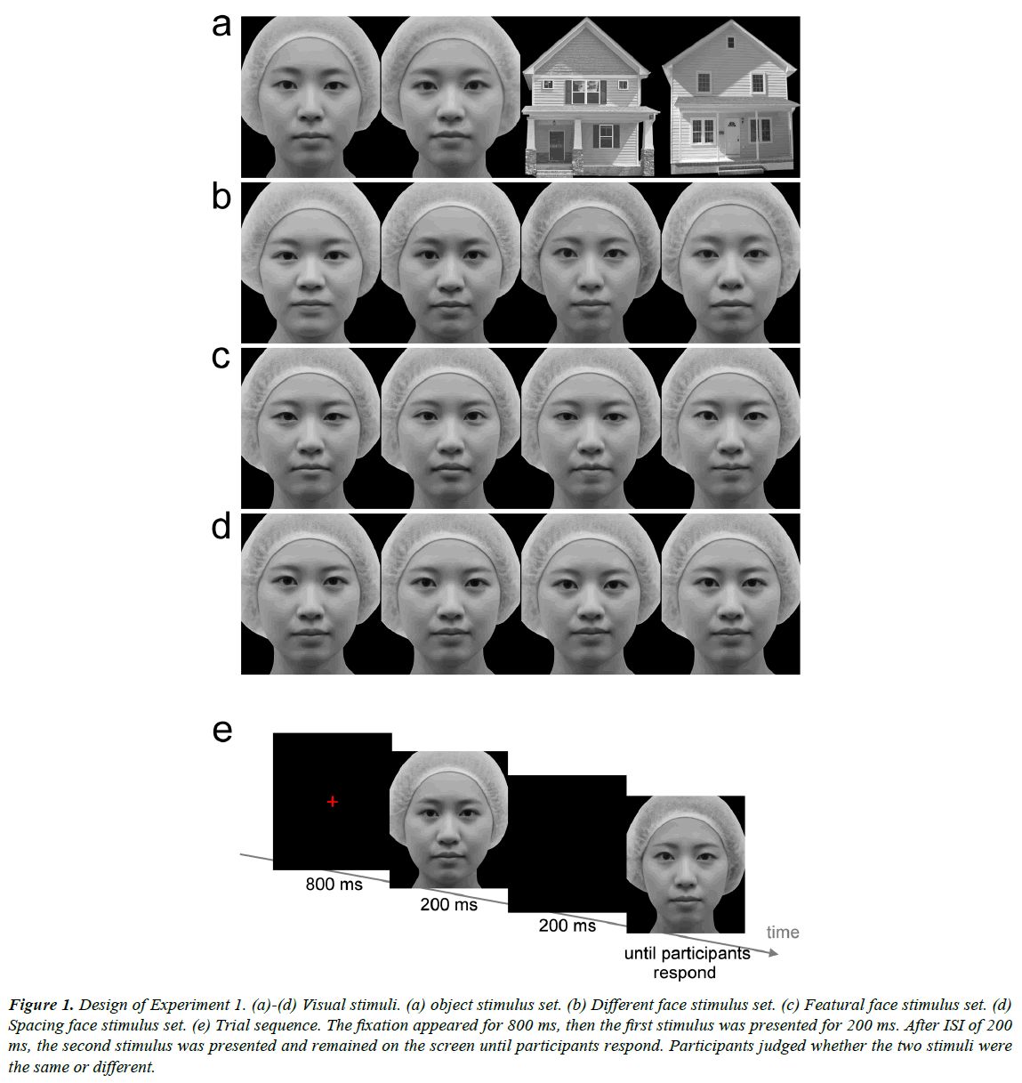 sensory-systems-Different-face-stimulus