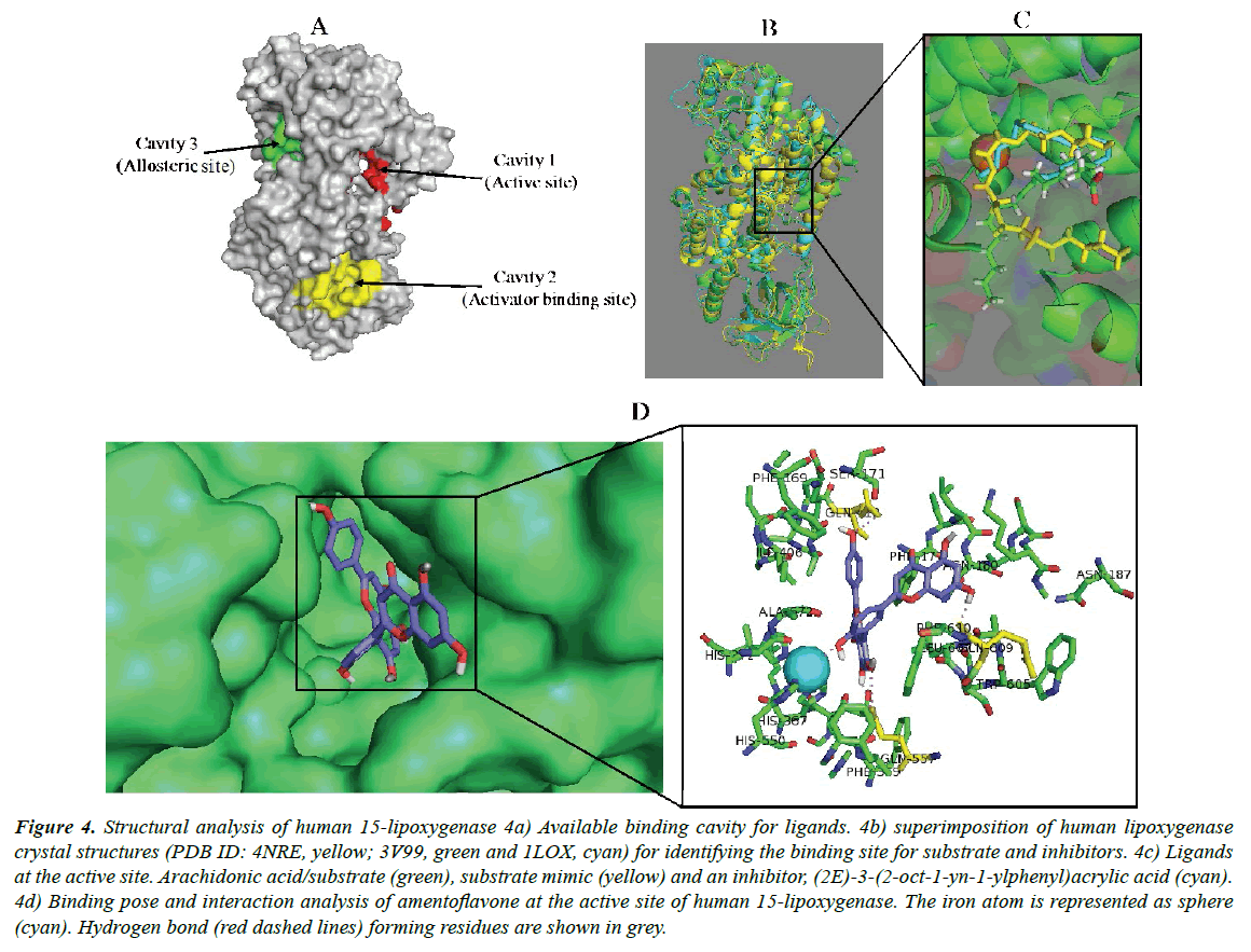 systems-biology-proteome-research-Hydrogen-bond