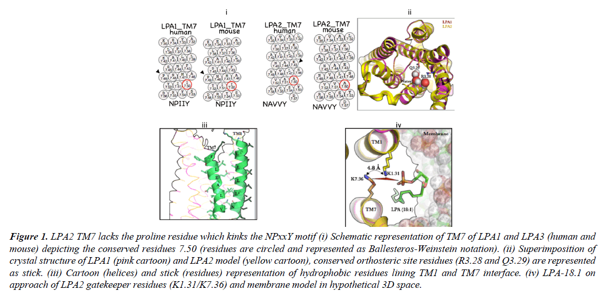 systems-biology-proteome-research-Schematic-representation