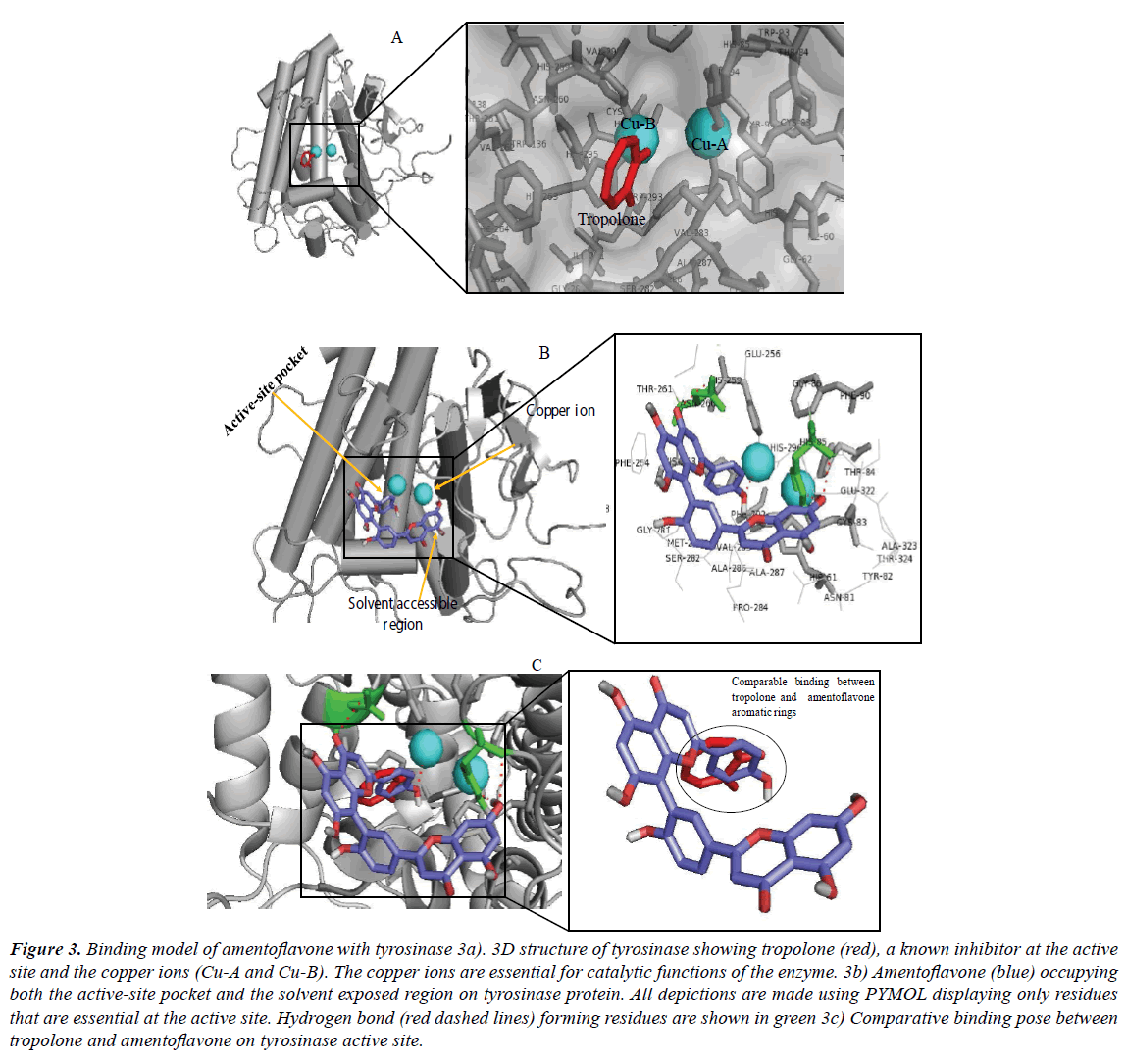 systems-biology-proteome-research-active-site