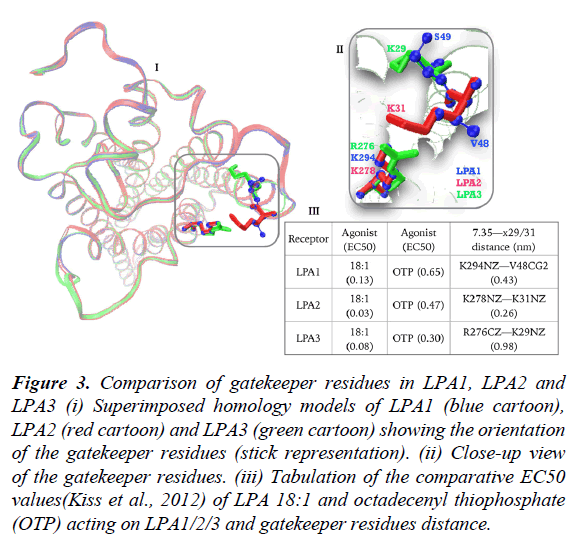 systems-biology-proteome-research-gatekeeper-residues