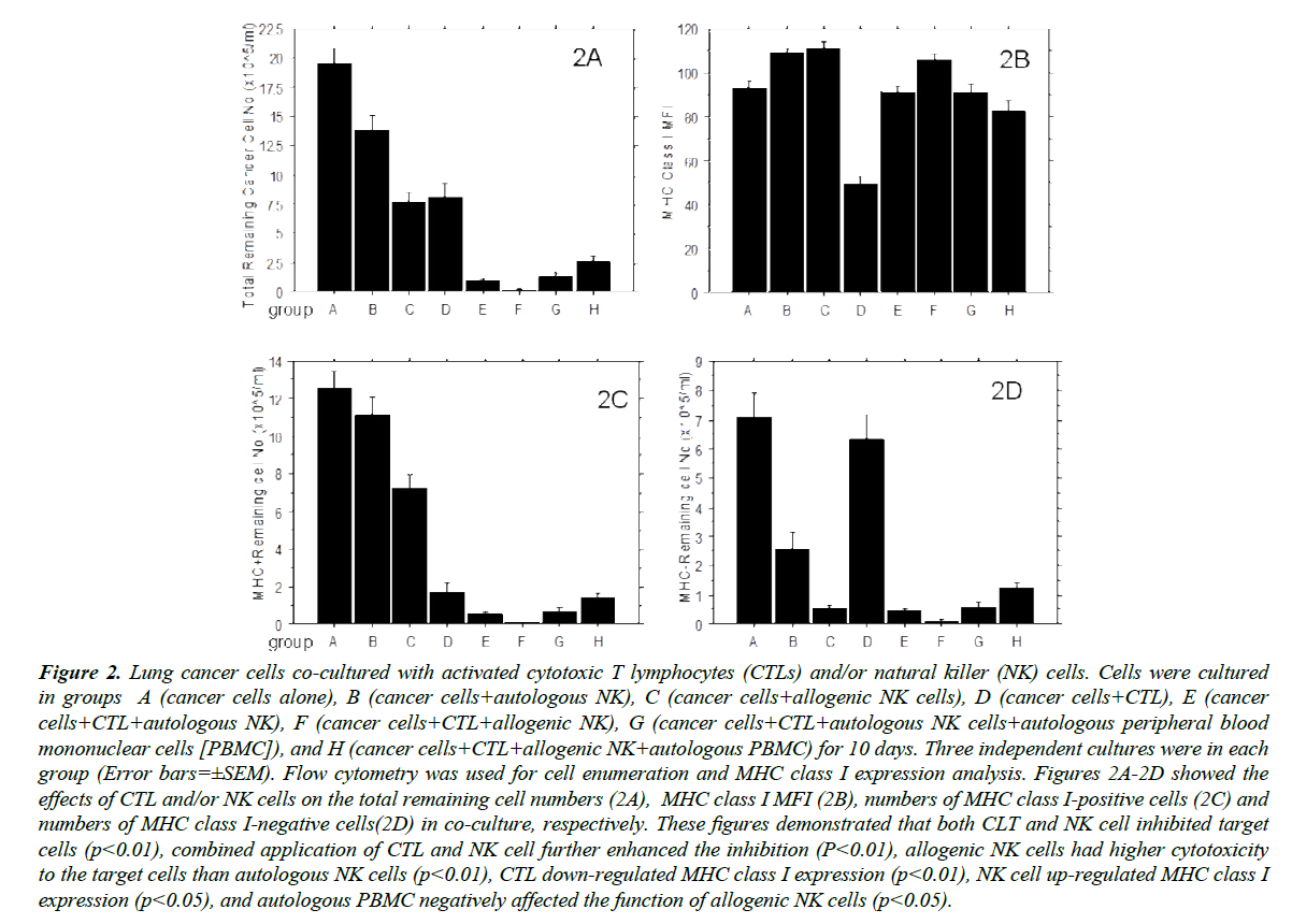 translational-research-cytotoxic-T-lymphocytes