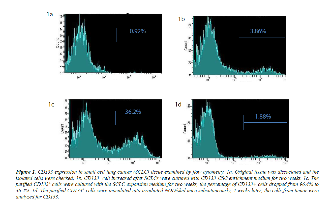 translational-research-flow-cytometry