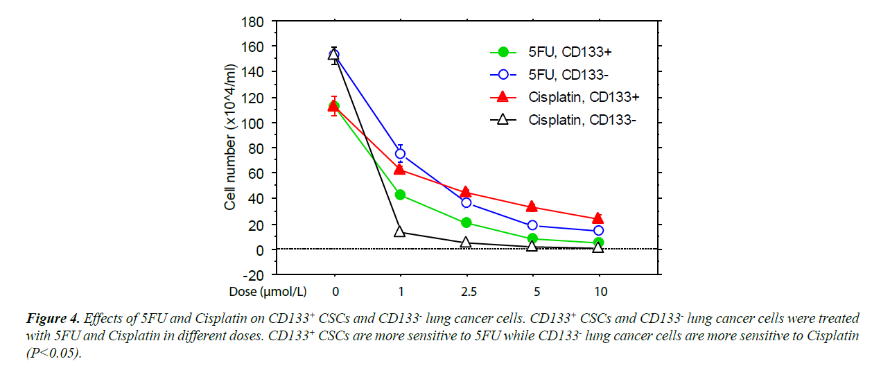 translational-research-lung-cancer-cells