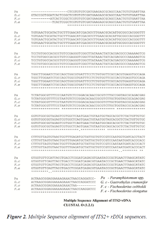 veterinary-medicine-sequence-alignment