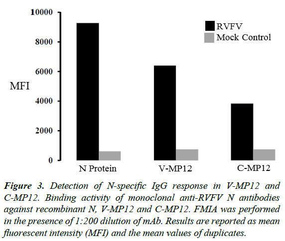 virology-research-N-specific-IgG