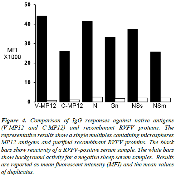 virology-research-RVFV-proteins