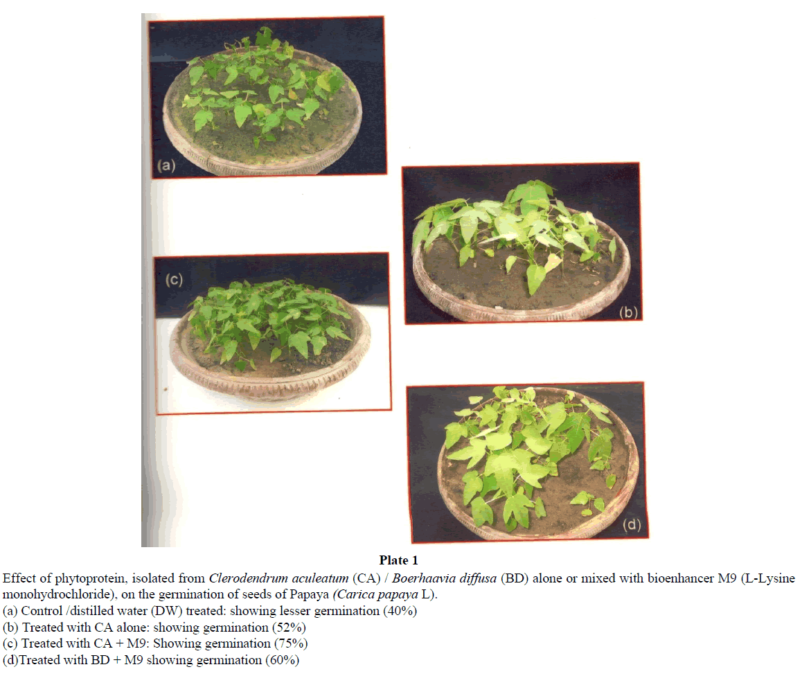 virology-research-phytoprotein