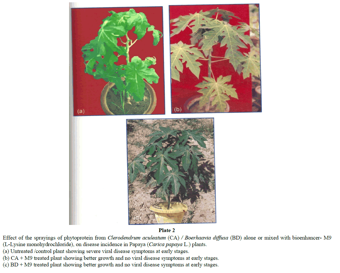 virology-research-sprayings-phytoprotein