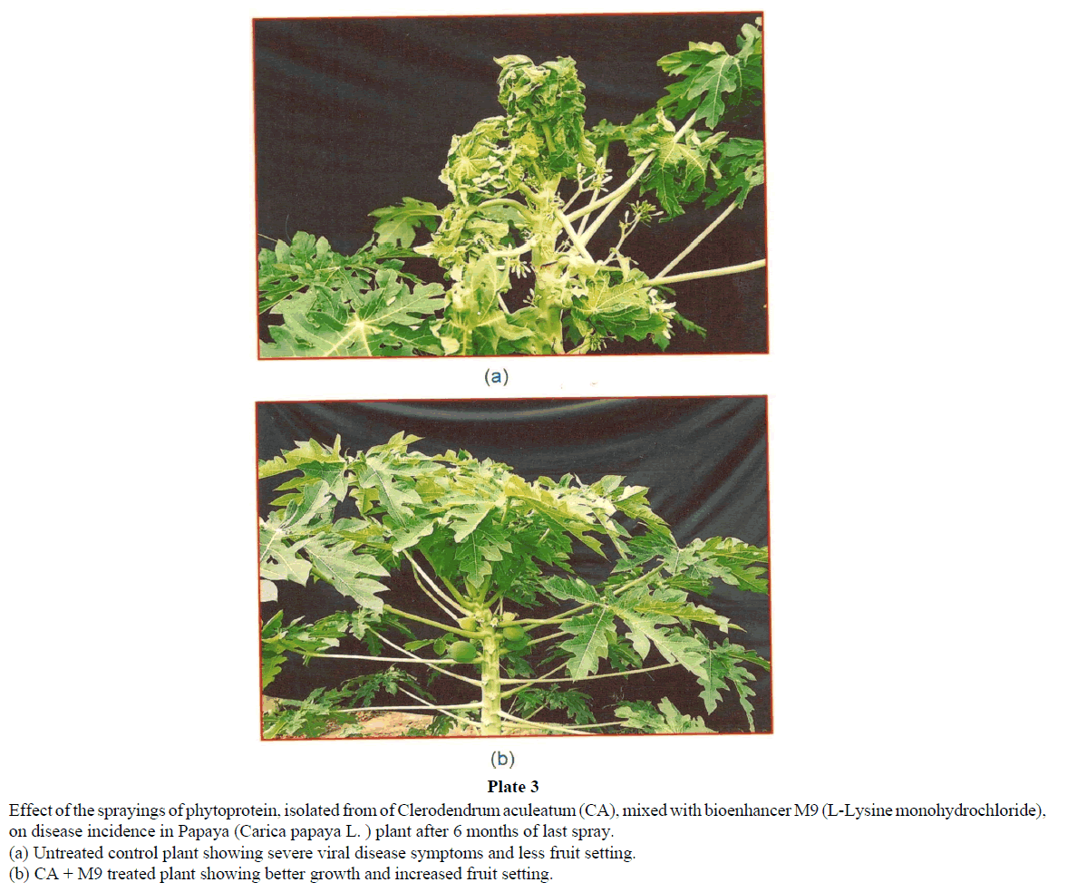 virology-research-sprayings-phytoprotein