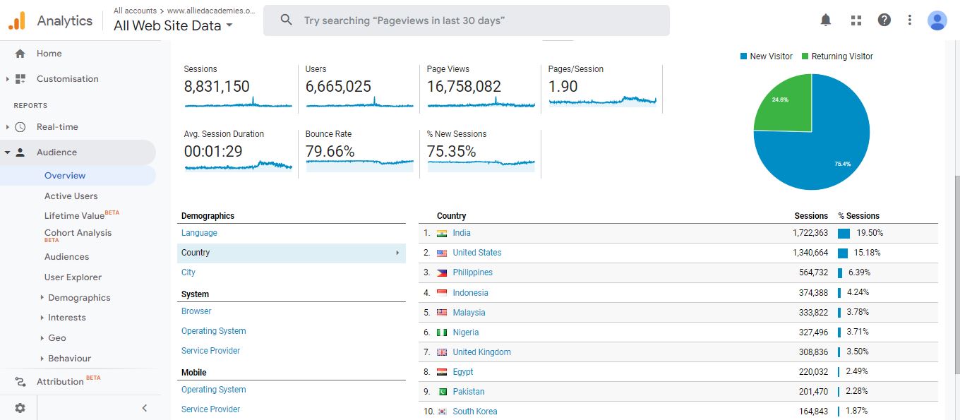 Visitor Analysis Report