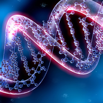 Genetics & Molecular Biology